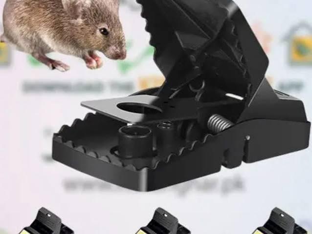 Plastic Mouse Trap for Home Pest Control