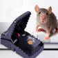 Sensitive Black Mouse Trap