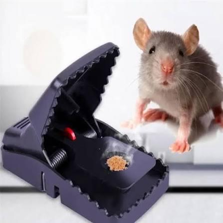 Sensitive Black Mouse Trap